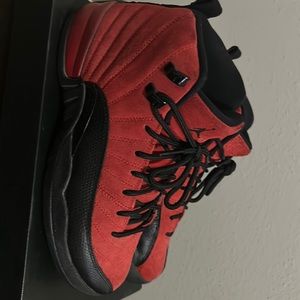 Jordan reverse flu game 12